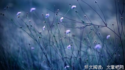 关于一鼓作气的语句