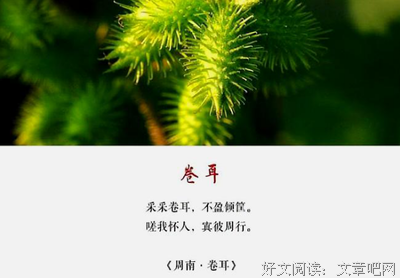先斟满自己的杯子读后感精选