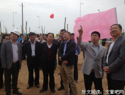 《谁在拍卖中国》读后感100字