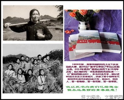 《不结婚，好吗》经典读后感有感