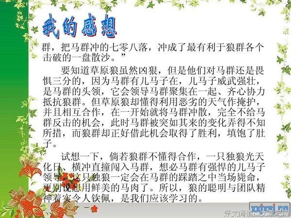 反抗死亡读后感摘抄
