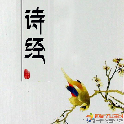 诗经讲评之风人深致读后感精选