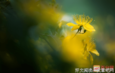诗人读后感1000字