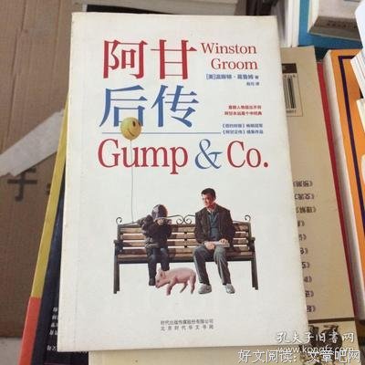 《阿甘后传》经典影评1000字