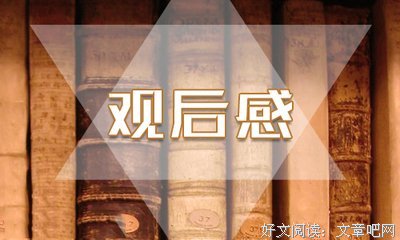 《安娜女士》的观后感大全