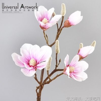 《卧房和玄关》观后感精选