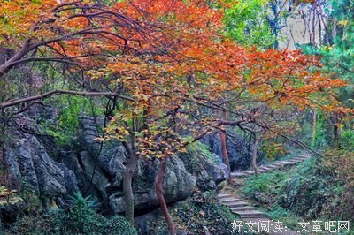 冯祥炎经典散文经典的句子