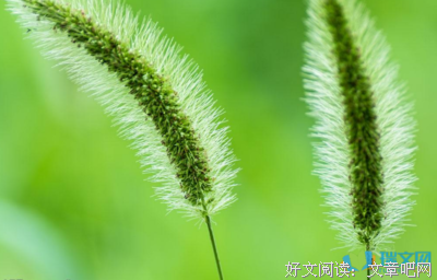 美好词好句