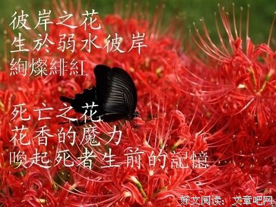 有关莫叹少女误情的句子