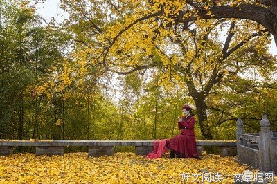 秋思句子