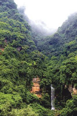 关于卓起然目宇名言大全