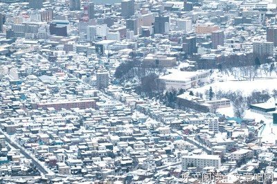 《北海道物语》语录摘抄