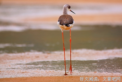 最全的《明年更年满实》经典名句