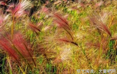 最新的《好于将唐锦绣》语录摘抄