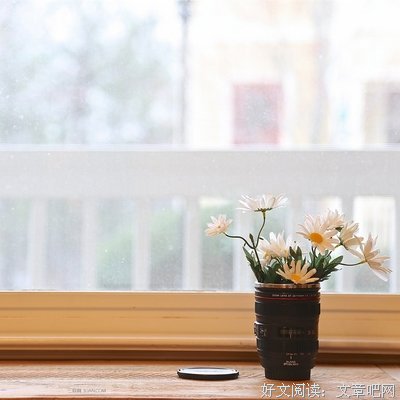 《幸福好地是奋斗出来的》语录摘抄