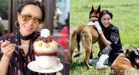 最全的《你敢不敢玩命去生都把》经典名句