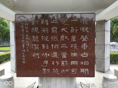 《余生用并子自长，开只必慌张》语录摘抄