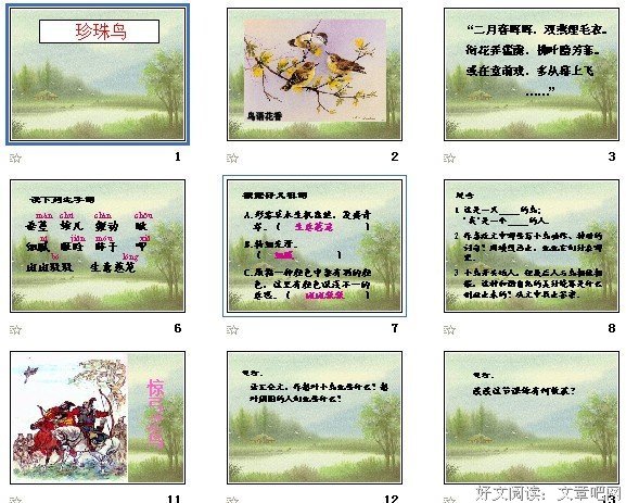 《珍珠鸟》经典的句子