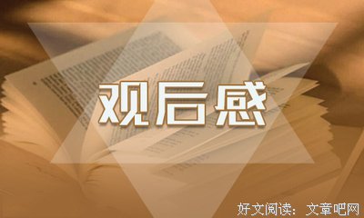 《二泉映月》经典观后感有感