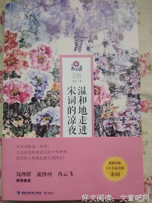 江山（一）的读后感大全