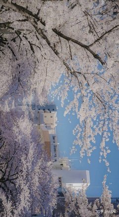 《夜色温柔》读后感摘抄