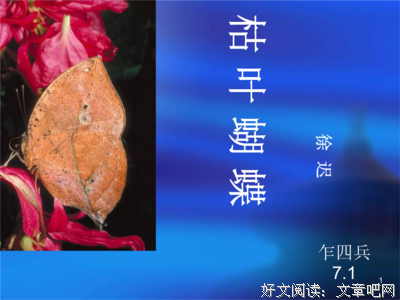 关于表里如一的语句