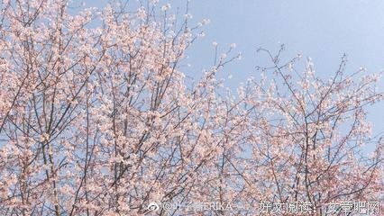 描写寒来暑往的语句摘抄