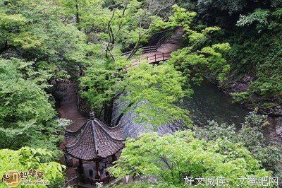 关于雾里看花的名言