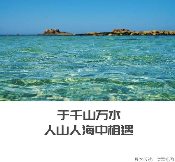《千山万水人海中（下）》读后感摘抄
