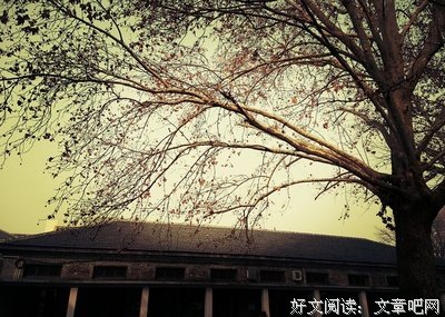 《北平組曲》读后感精选