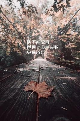 15条关于百看不厌的经典语句
