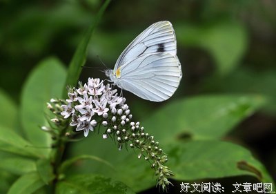 里外更新读后感1000字