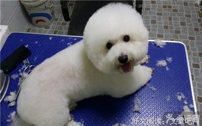 玩物尚志读后感摘抄