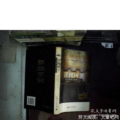 《拉美西斯五部曲》读后感1000字