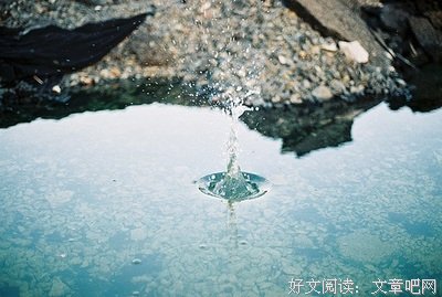 《苏童作品精选》读后感摘抄