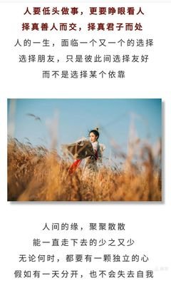 看透了，优美的句子