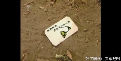 《霹雳皇朝之龙城圣影》影评精选