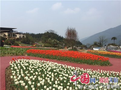 《小镇烟云》观后感精选