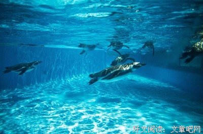 夏时西陌离ゞ的句子