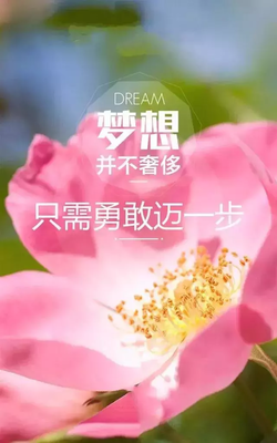 关于成功的优美句子