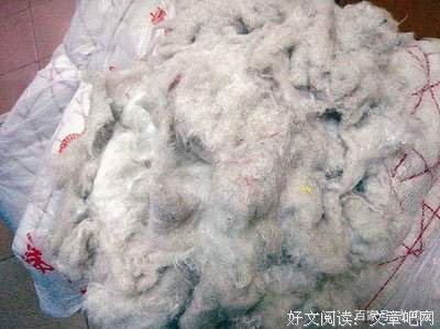 《我所认识的凶猛老虎》观后感100字