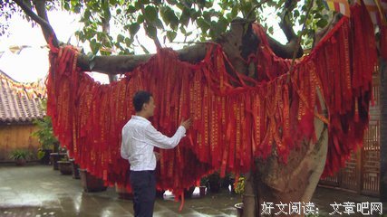 菩提象后上于没的句子