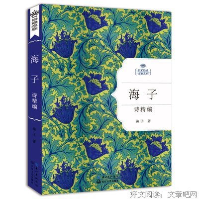 当代诗集