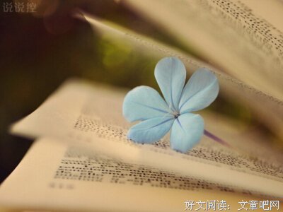 对不起，爱过你句子