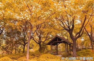时光の邂逅经典名句
