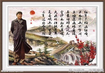 后如毛的句子