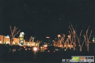 最经典的《最佳契合》语录摘抄