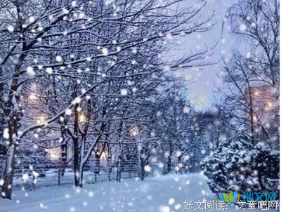 最全的《序言》佳句摘抄