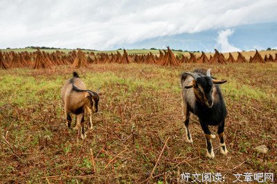 《云之南》经典观后感有感