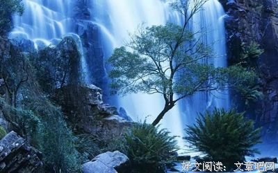 《痛苦与狂喜》影评精选